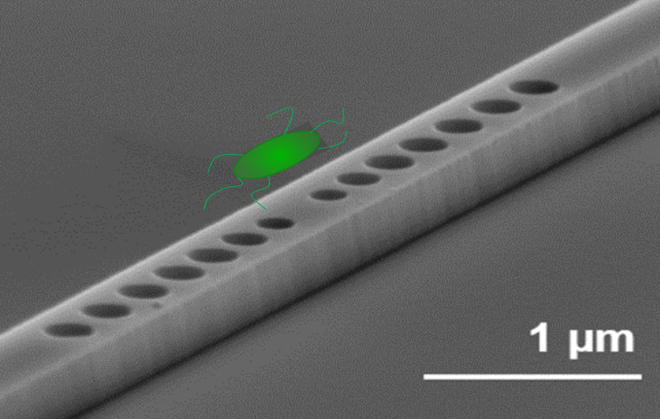 Evaluating the stress response of a bacterium using optical tweezers on a chip