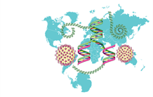 Cartographie de la méthylation d’ADN et VIS