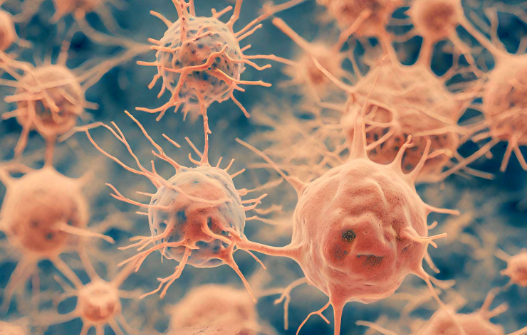 Comment le VIH dérégule très vite une population de cellules dendritiques 