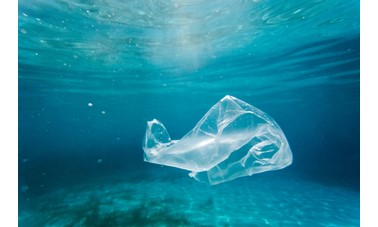 Quand la génomique éclaire la biodégradation des plastiques biosourcés