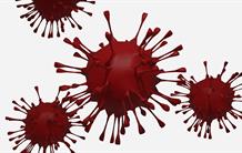 Inflammation et Covid-19 : HLA-G un checkpoint immunitaire sous surveillance