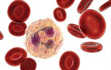 VIH et inflammation chronique : rôle des neutrophiles immatures