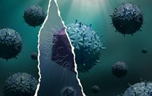 Les mirusvirus, à la croisée des chemins évolutifs